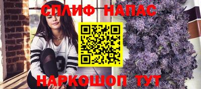 эйфоретик Нальчик