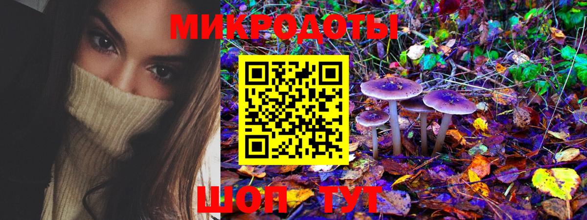 Галлюциногенные грибы Psilocybine cubensis  Вход с VPN  Астрахань 